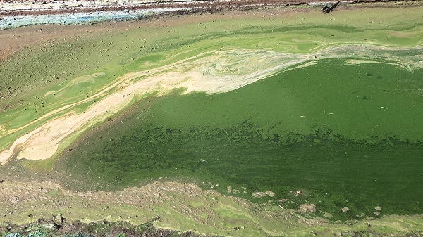 Pis koku herkesi kaçırıyor! O göl bu hale geldi