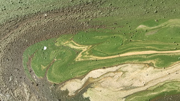 Foto - Pis koku herkesi kaçırıyor! O göl bu hale geldi