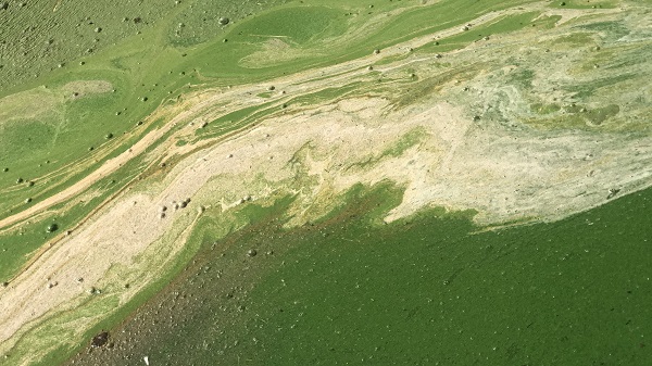 Foto - Pis koku herkesi kaçırıyor! O göl bu hale geldi