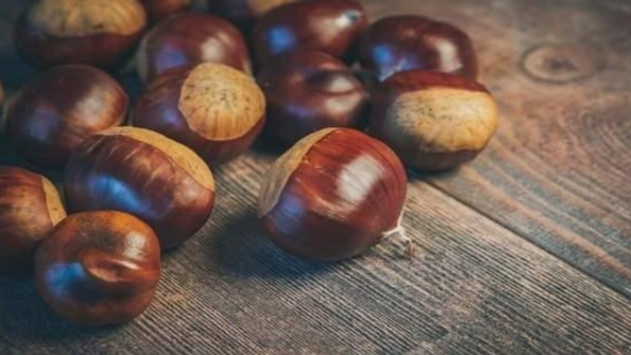 Foto - Pişince köpürüyorsa dikkat! Gerçek kestane nasıl anlaşılır?