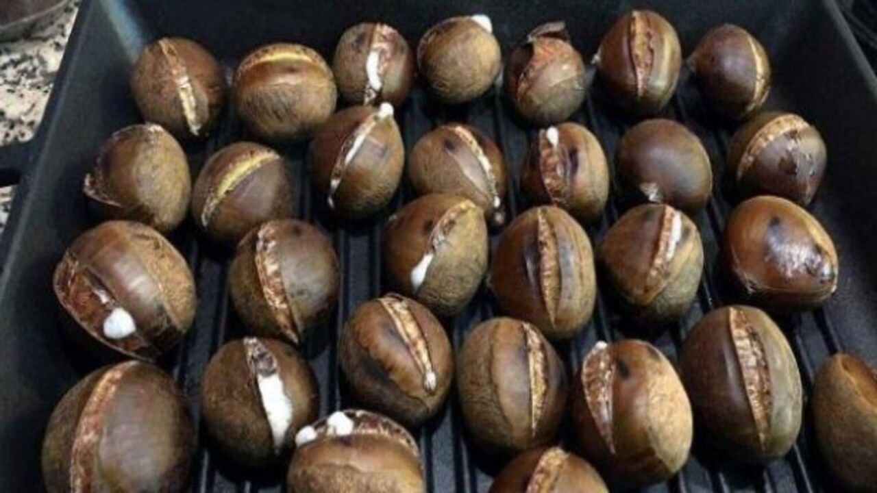 Foto - Pişince köpürüyorsa dikkat! Gerçek kestane nasıl anlaşılır?