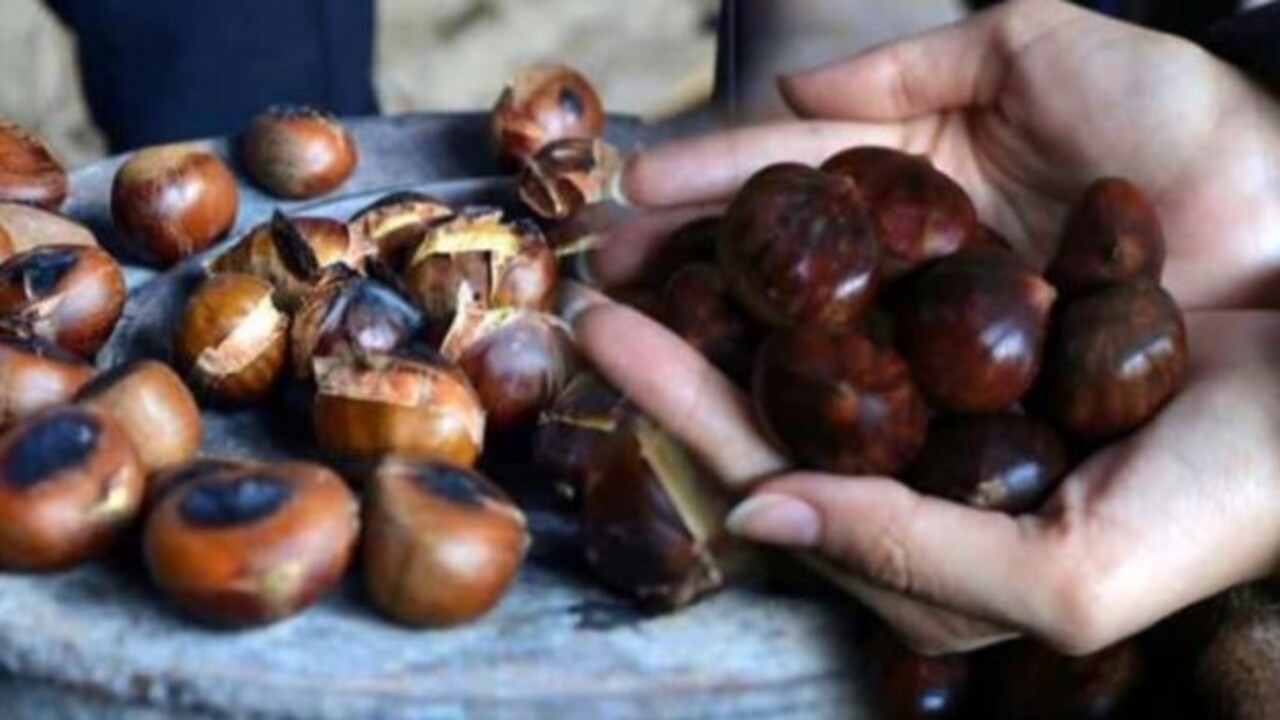 Pişince köpürüyorsa dikkat! Gerçek kestane nasıl anlaşılır?
