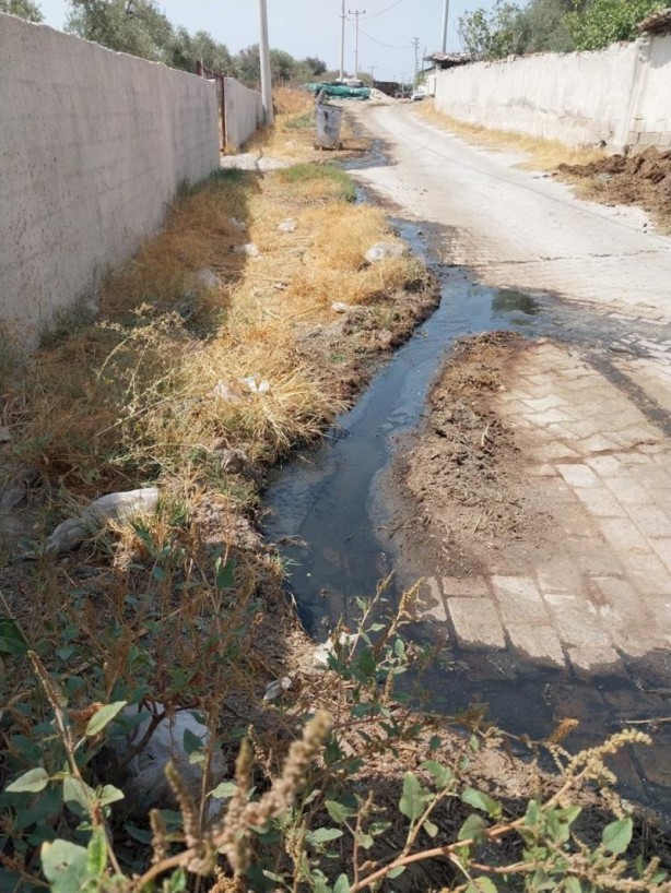 Foto - Pislikte İzmir'le yarışıyorlar! Yıllardır CHP'nin yönettiği şehirde vatandaş canından bezdi