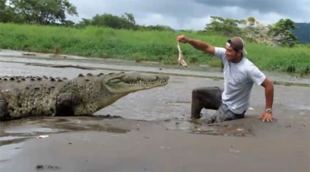 Foto - Pitbullar sert kayaya çarptı