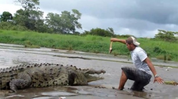 Foto - Pitbullar sert kayaya çarptı