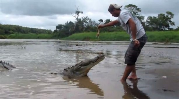 Foto - Pitbullar sert kayaya çarptı