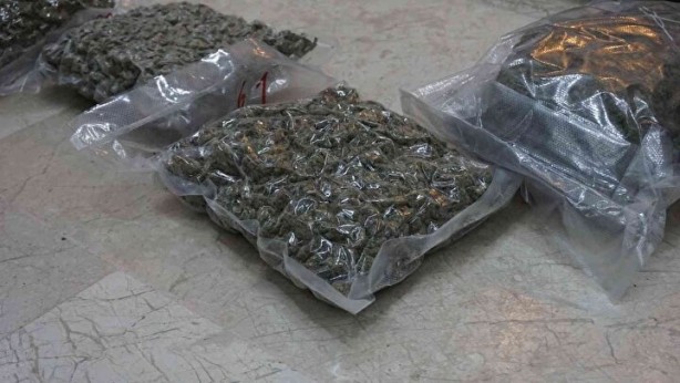 Foto - Piyasa değeri 30 milyon Türk lirası! Çöpe atarken yakalandılar