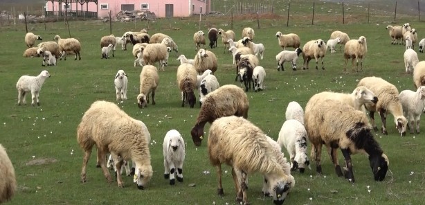 Foto - PKK işte bu yüzden Bay Kemal’i istiyor! Terörün temizlendiği Muş listeyi altüst etti