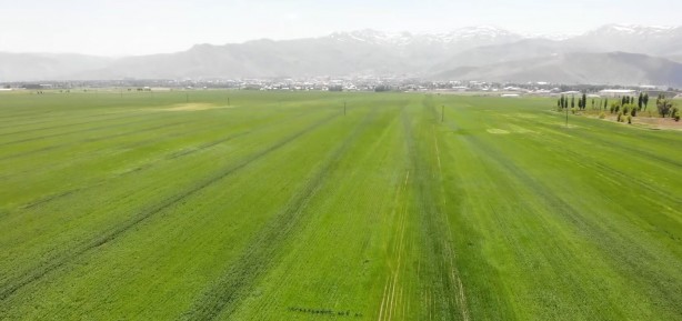 Foto - PKK işte bu yüzden Bay Kemal’i istiyor! Terörün temizlendiği Muş listeyi altüst etti