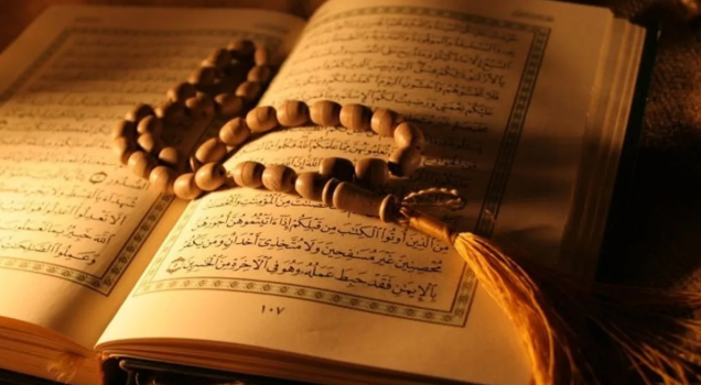 Foto - PKK kendini feshetme kararı aldı! İşte fikri yapısını da yok edecek eğitim programları Ali Erkan Kavaklı yazdı