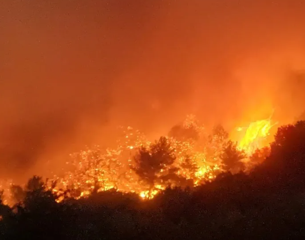Foto - PKK’lı kundakçı Ahmet Kumak’ın planı deşifre oldu! İlk hedefi orasıymış!