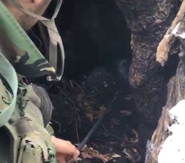 Foto - PKK'lı teröristlerin son taktiği "Ağaç kovuğu"