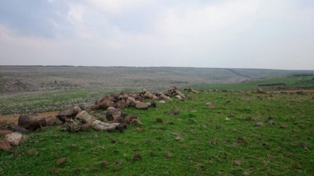 Foto - PKK'lılara yönelik dev operasyon