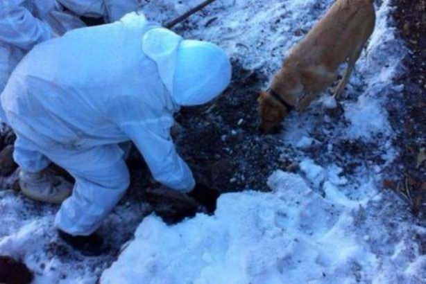 Foto - PKK'nın Doski Vadisi'ndeki "bitiş" konuşmaları