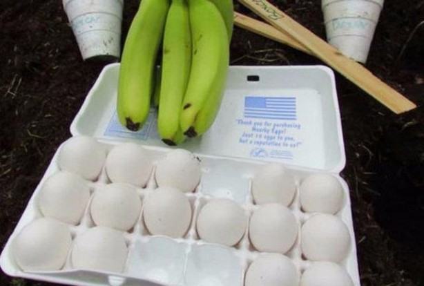 Foto - Plastik çatallarla inanılmaz gerçekleşti! İşte daha önce duymadığınız şeyler...