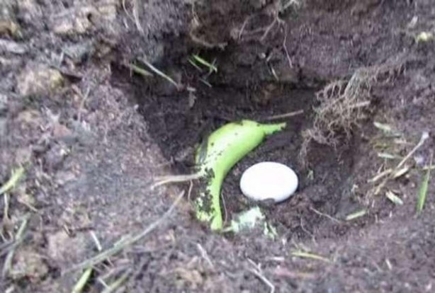 Foto - Plastik çatallarla inanılmaz gerçekleşti! İşte daha önce duymadığınız şeyler...