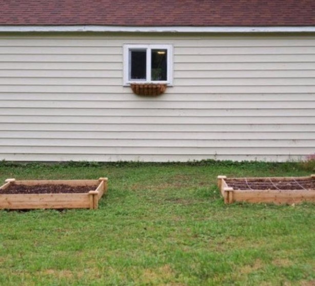 Foto - Plastik çatallarla inanılmaz gerçekleşti! İşte daha önce duymadığınız şeyler...