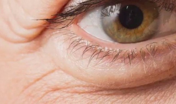 Foto - Plastik çatallarla inanılmaz gerçekleşti! İşte daha önce duymadığınız şeyler...