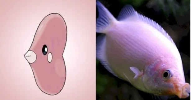 Foto - Pokemon karakterlerinin gizemi çözüldü