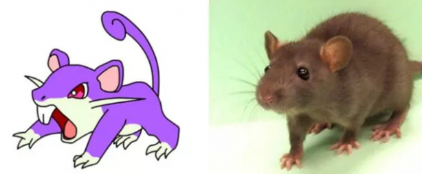 Foto - Pokemon karakterlerinin gizemi çözüldü