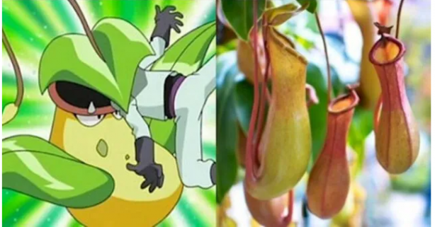 Foto - Pokemon karakterlerinin gizemi çözüldü