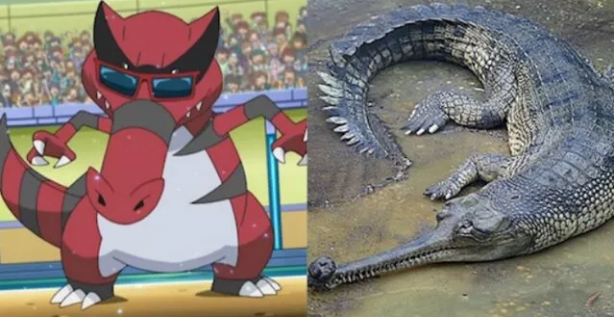 Foto - Pokemon karakterlerinin gizemi çözüldü