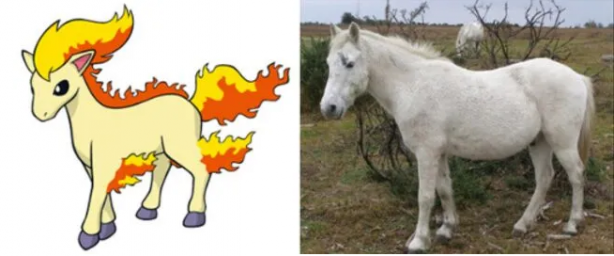 Foto - Pokemon karakterlerinin gizemi çözüldü