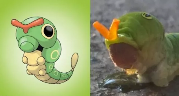 Foto - Pokemon karakterlerinin gizemi çözüldü