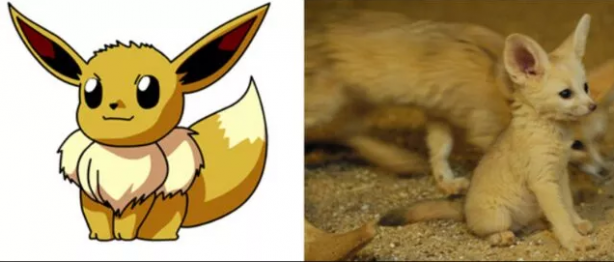 Foto - Pokemon karakterlerinin gizemi çözüldü