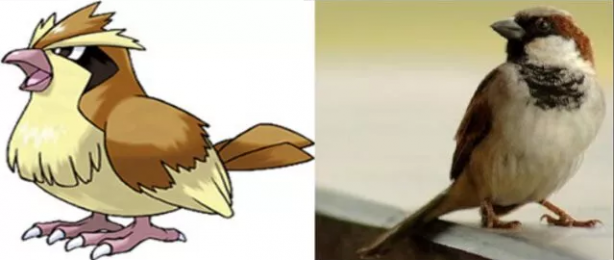 Foto - Pokemon karakterlerinin gizemi çözüldü