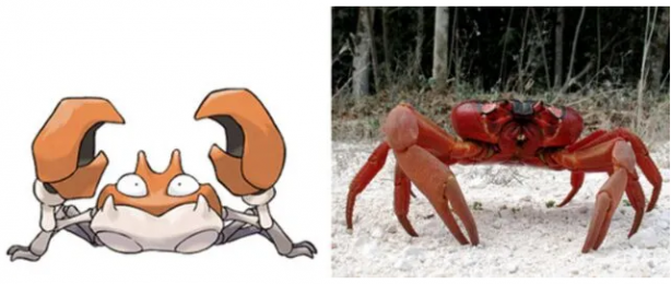 Foto - Pokemon karakterlerinin gizemi çözüldü