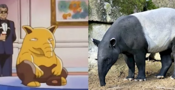 Foto - Pokemon karakterlerinin gizemi çözüldü