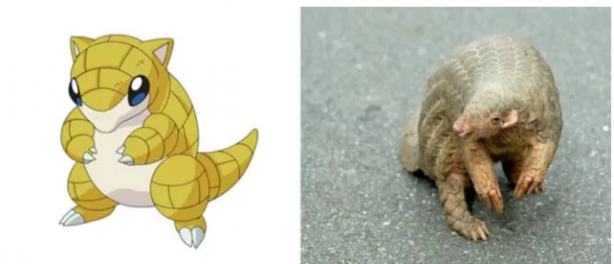 Foto - Pokemon karakterlerinin gizemi çözüldü