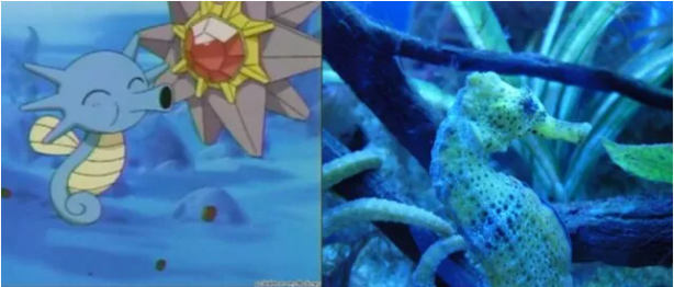 Foto - Pokemon karakterlerinin gizemi çözüldü