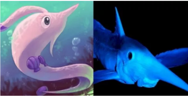 Foto - Pokemon karakterlerinin gizemi çözüldü