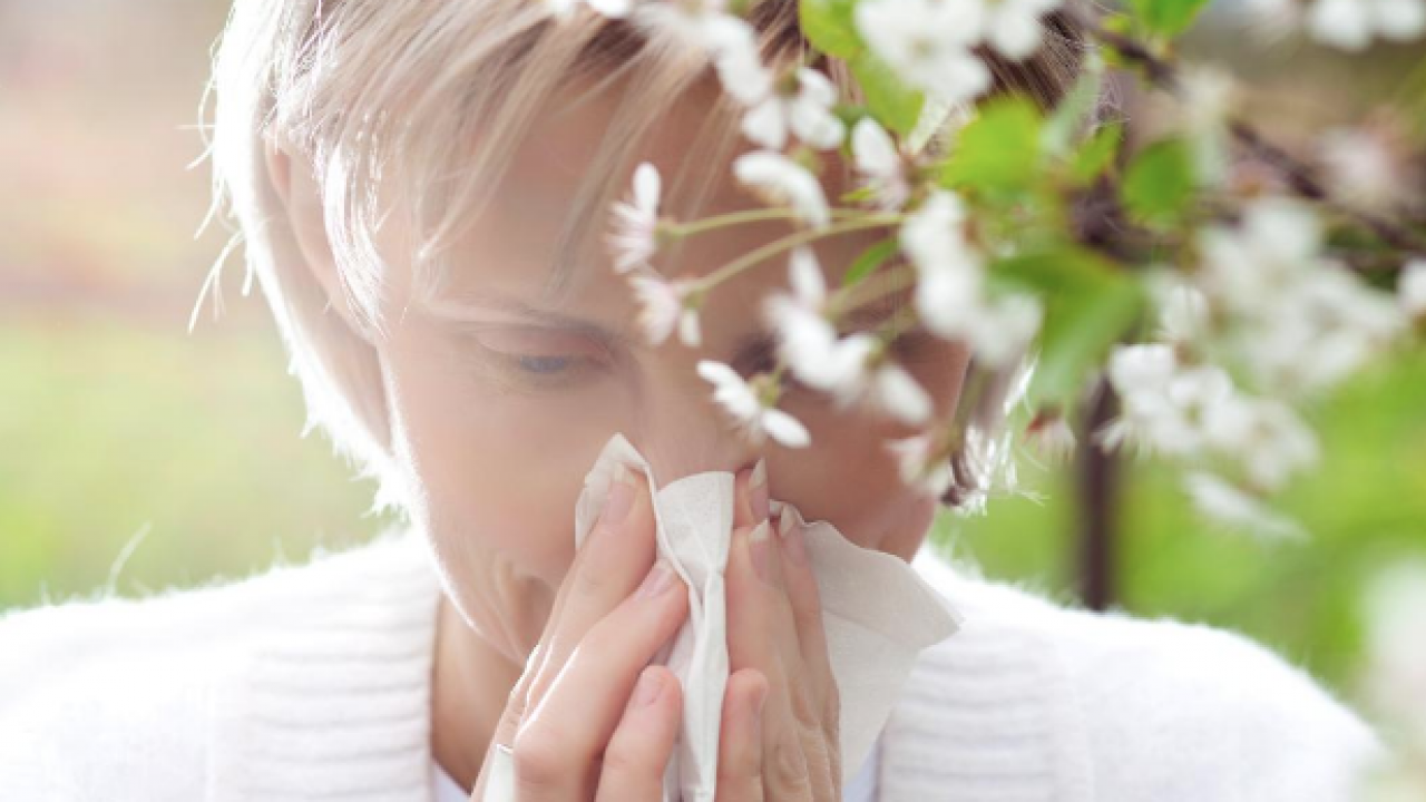 Polen filtreleri... Baharla birlikte gelen polen mevsimi kabusunuz olmasın