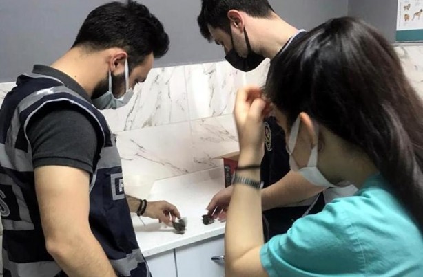 Foto - Polis, çatıdan düşen yavru kuşları tedavi ettirdi