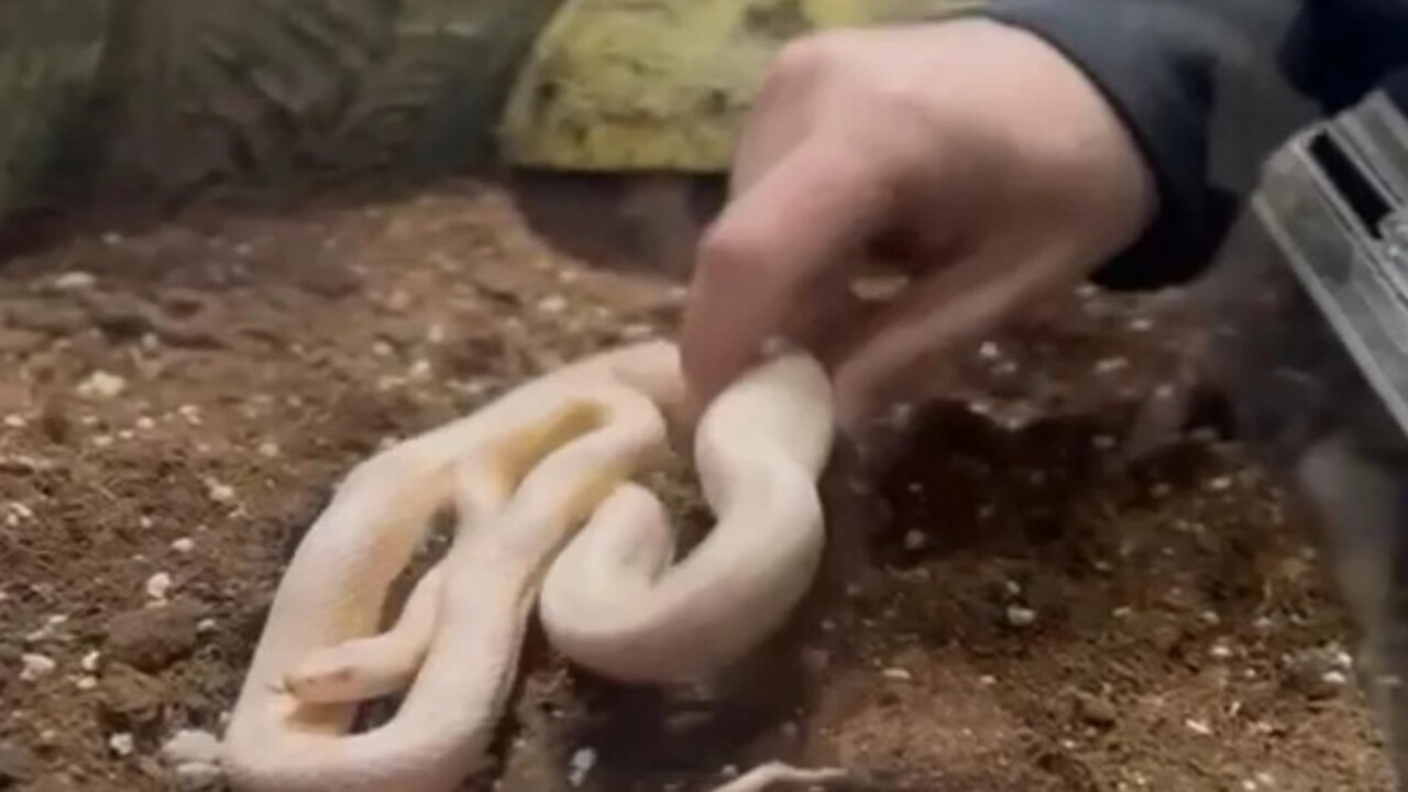 Foto - Polis ekipleri şoke oldu! İstanbul'da bir aracın arka koltuğunda bakın ne çıktı