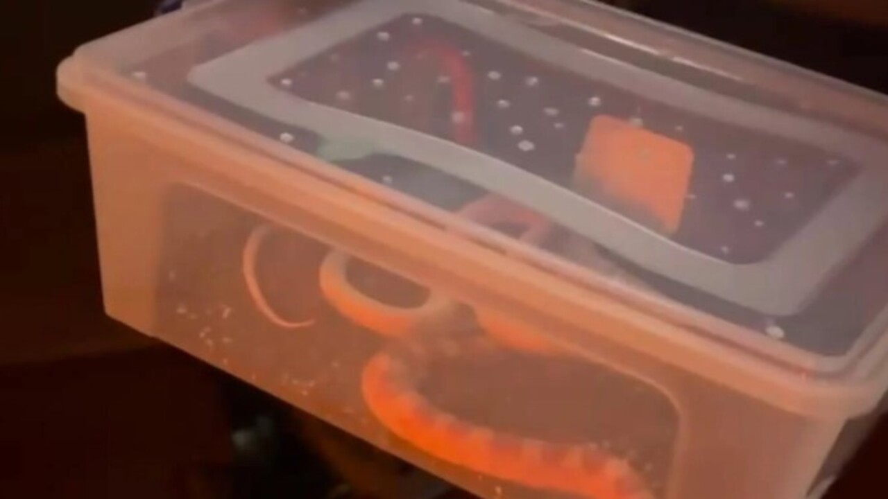 Foto - Polis ekipleri şoke oldu! İstanbul'da bir aracın arka koltuğunda bakın ne çıktı