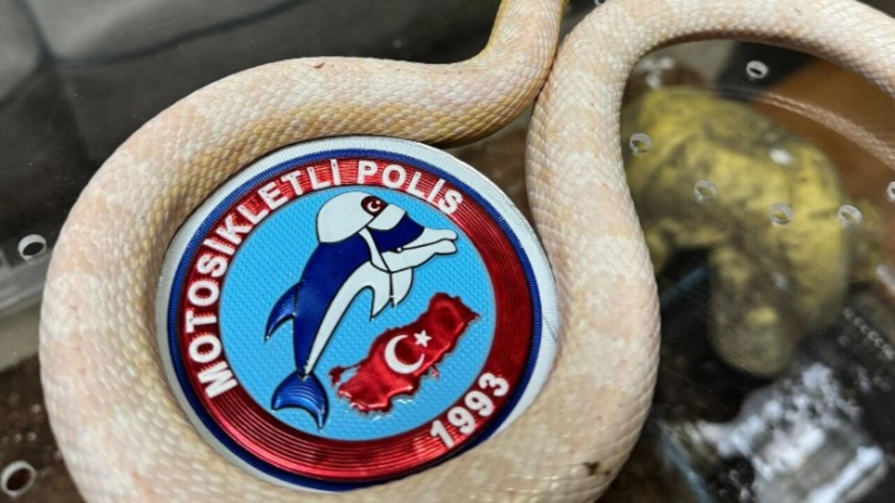 Foto - Polis ekipleri şoke oldu! İstanbul'da bir aracın arka koltuğunda bakın ne çıktı