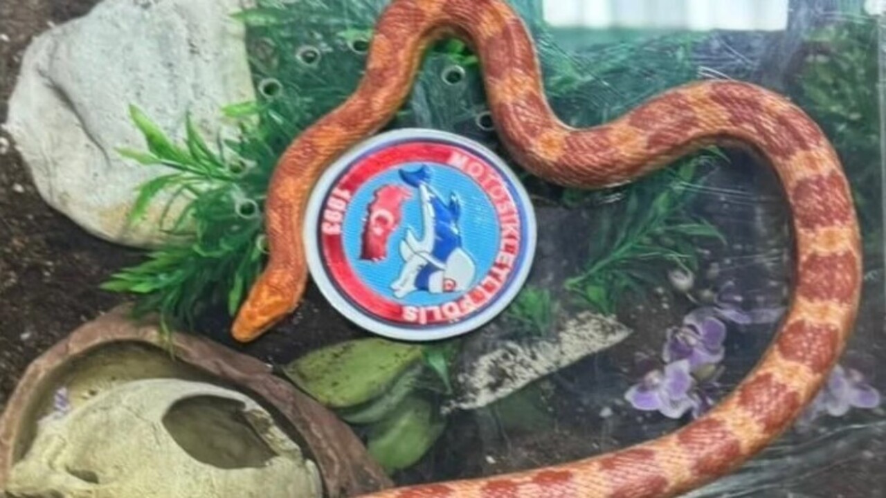 Foto - Polis ekipleri şoke oldu! İstanbul'da bir aracın arka koltuğunda bakın ne çıktı