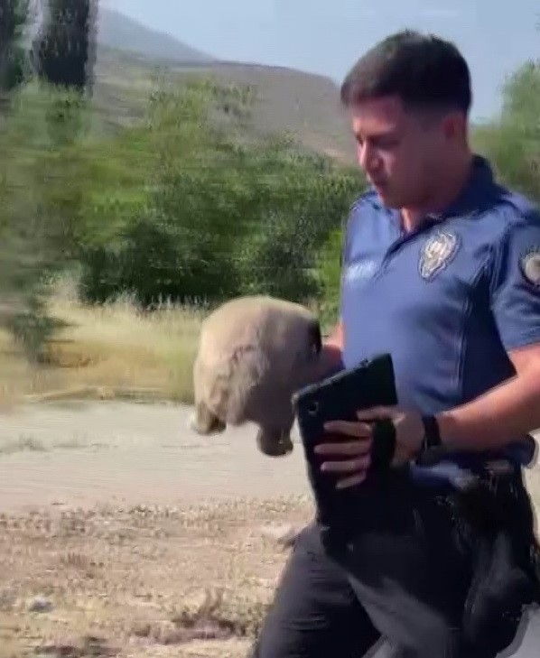 Foto - Polis, suçluyu yakalamak için değil, hayat kurtarmak için koştu