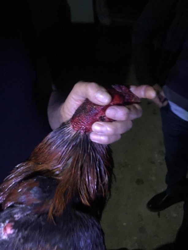Foto - Polisi görünce dolaba saklandılar