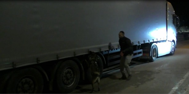 Foto - Polisin dikkatinden kaçmadı! Yurda sokulmaya çalışan çok sayıda skunk ele geçirildi