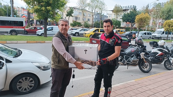 Foto - Polisler gözlerine inanamadı! Bakın otomobilin bagajından ne çıktı