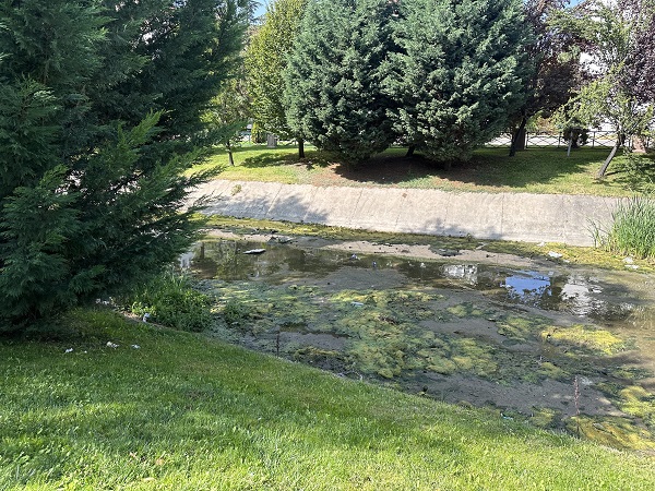 Foto - Porsuk Çayı'nda kirlilik böyle görüntülendi