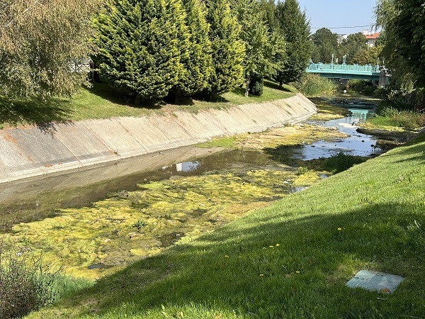 Foto - Porsuk Çayı'nda kirlilik böyle görüntülendi
