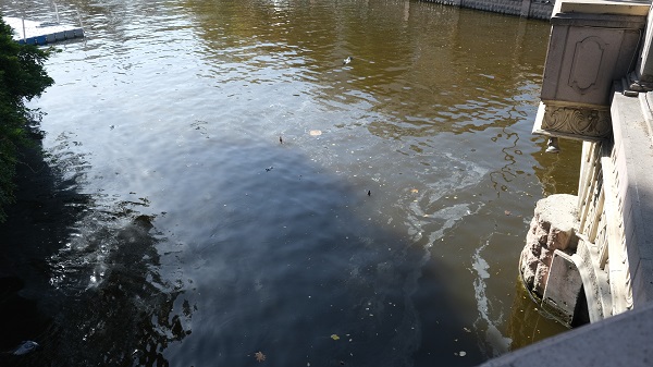 Foto - Porsuk Çayı'ndaki kirlilik isyan ettirdi