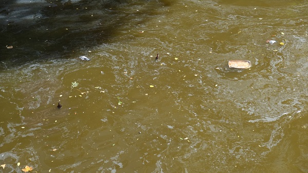 Porsuk Çayı'ndaki kirlilik isyan ettirdi