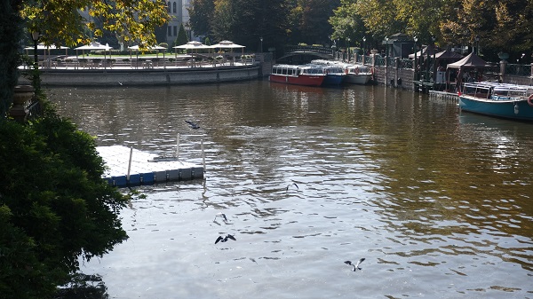 Foto - Porsuk Çayı'ndaki kirlilik isyan ettirdi